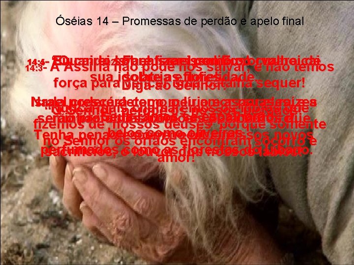 Óséias 14 – Promessas de perdão e apelo final 14: 4 14: 5 --
