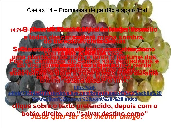 Óséias 14 – Promessas de perdão e apelo final 14: 7 -14: 9 O-povo