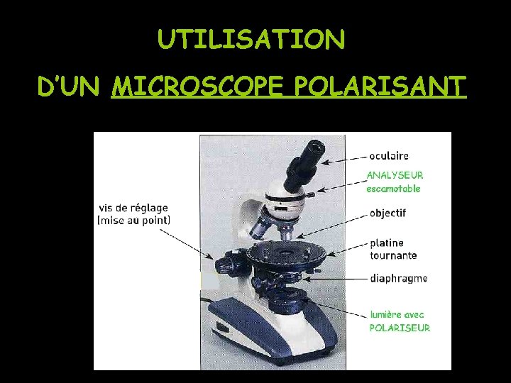 UTILISATION D’UN MICROSCOPE POLARISANT 