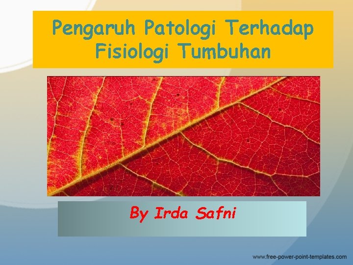 Pengaruh Patologi Terhadap Fisiologi Tumbuhan By Irda Safni 