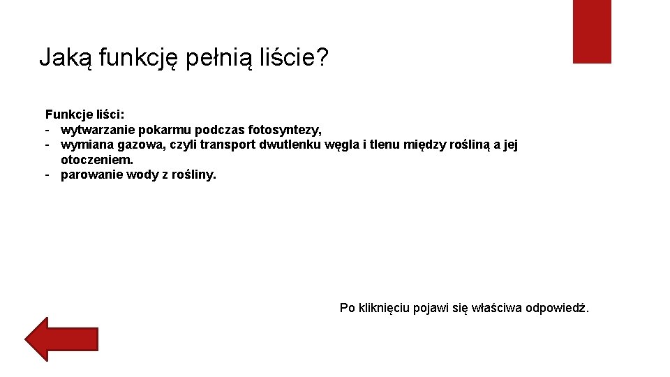 Jaką funkcję pełnią liście? Funkcje liści: - wytwarzanie pokarmu podczas fotosyntezy, - wymiana gazowa,