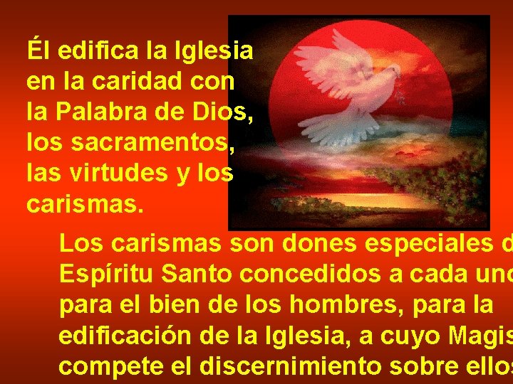 Él edifica la Iglesia en la caridad con la Palabra de Dios, los sacramentos,