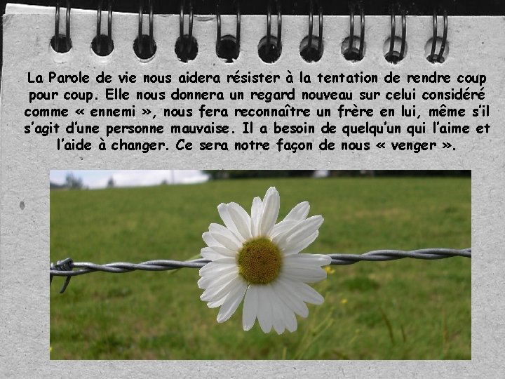 La Parole de vie nous aidera résister à la tentation de rendre coup pour