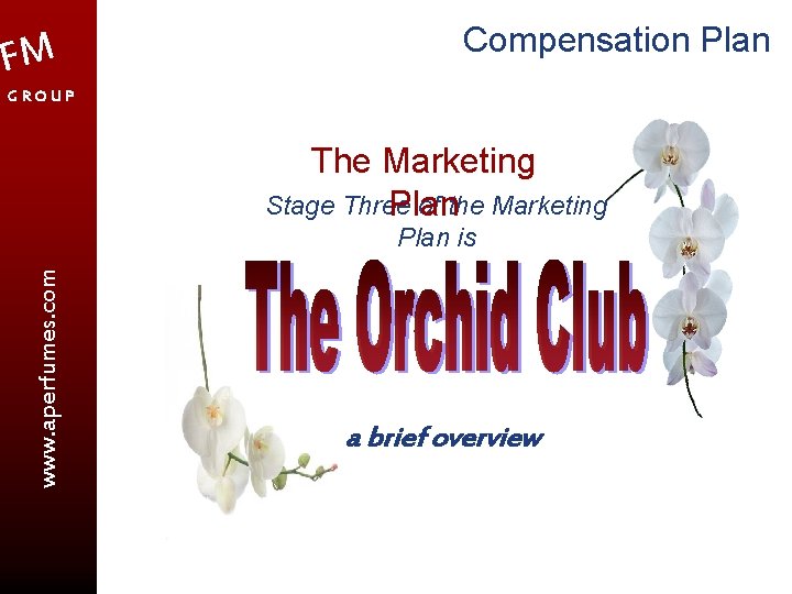 FM Compensation Plan GROUP The Marketing Stage Three of the Marketing Plan www. aperfumes.