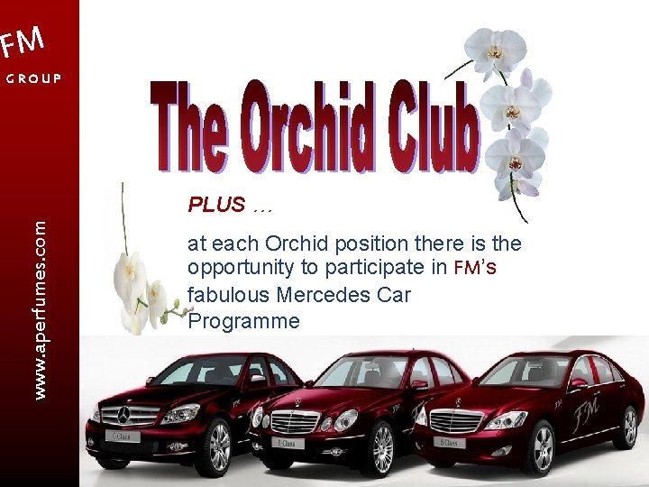 FM GROUP www. aperfumes. com PLUS … at each Orchid position there is the