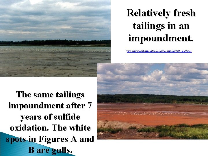 Relatively fresh tailings in an impoundment. http: //www. earth. uwaterloo. ca/services/whaton/s 06_amd. html The