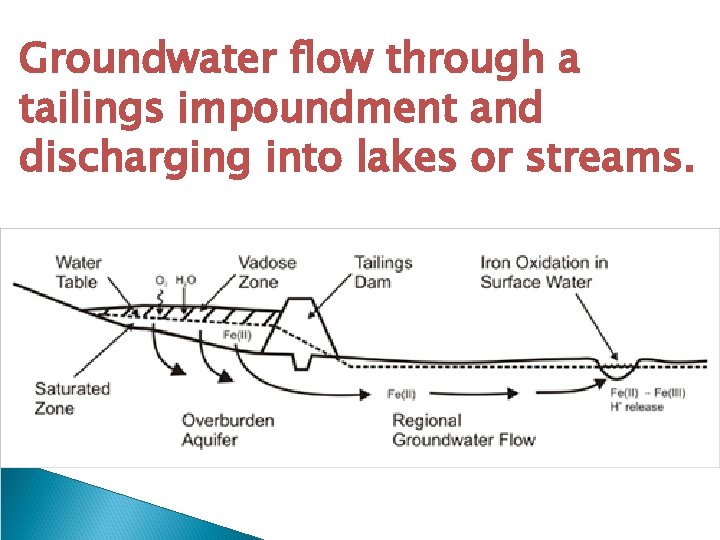 Groundwater flow through a tailings impoundment and discharging into lakes or streams. 