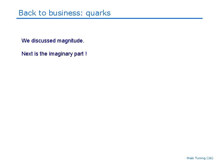 Back to business: quarks We discussed magnitude. Next is the imaginary part ! Niels Back to business: quarks We discussed magnitude. Next is the imaginary part ! Niels