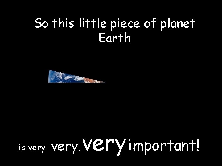 So this little piece of planet Earth is very, very important! 