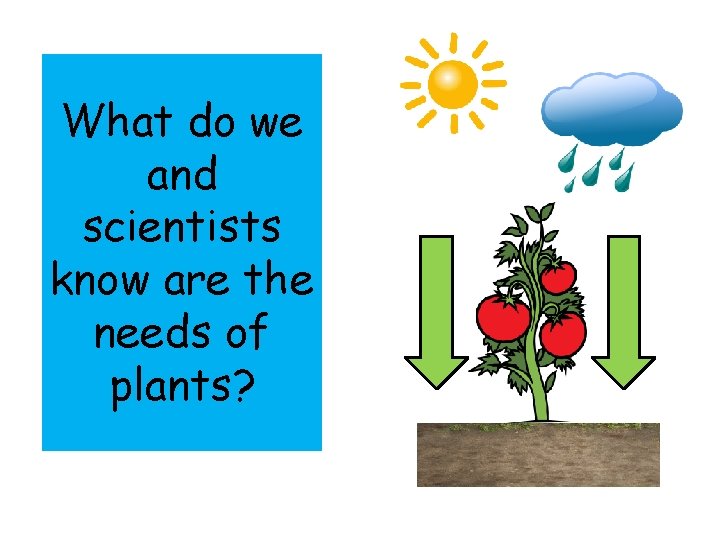  • water • light and warmth What do we • soil and •