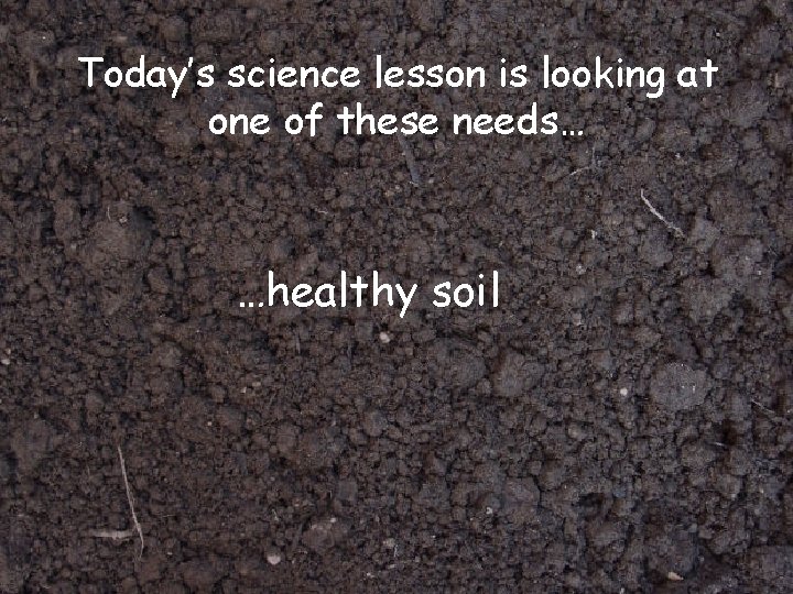 Today’s science lesson is looking at one of these needs… …healthy soil 