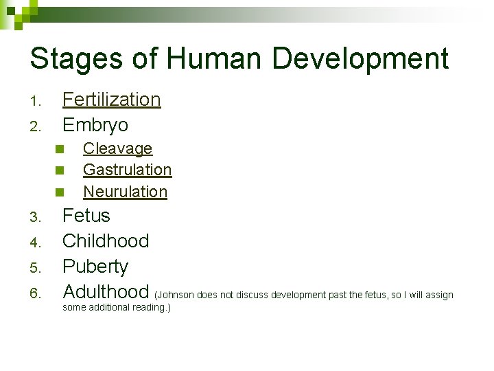 Stages of Human Development 1. 2. Fertilization Embryo n n n 3. 4. 5.