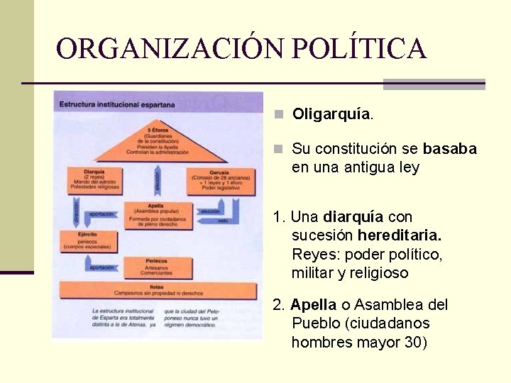 ORGANIZACIÓN POLÍTICA n Oligarquía. n Su constitución se basaba en una antigua ley 1.