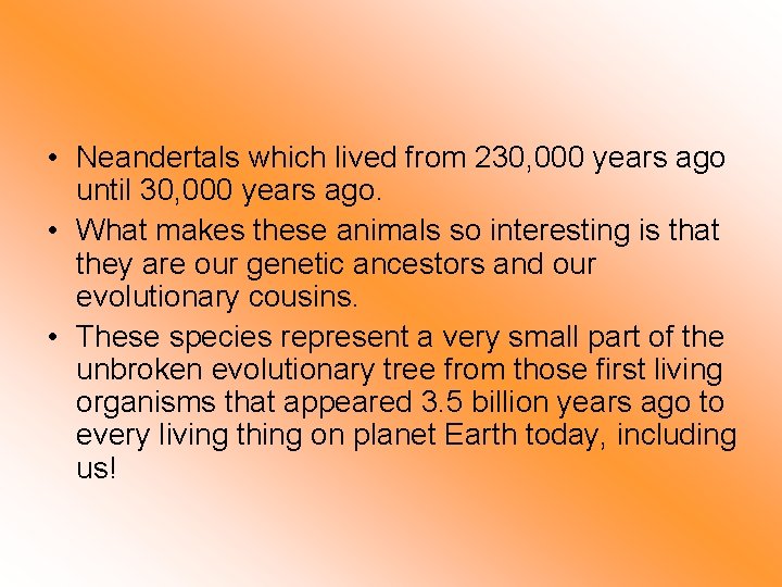  • Neandertals which lived from 230, 000 years ago until 30, 000 years