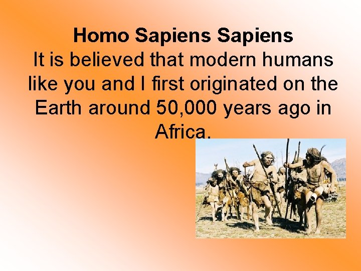 Homo Sapiens It is believed that modern humans like you and I first originated
