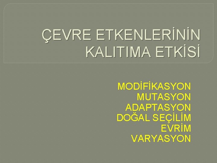 ÇEVRE ETKENLERİNİN KALITIMA ETKİSİ MODİFİKASYON MUTASYON ADAPTASYON DOĞAL SEÇİLİM EVRİM VARYASYON ÇEVRE ETKENLERİNİN KALITIMA ETKİSİ MODİFİKASYON MUTASYON ADAPTASYON DOĞAL SEÇİLİM EVRİM VARYASYON