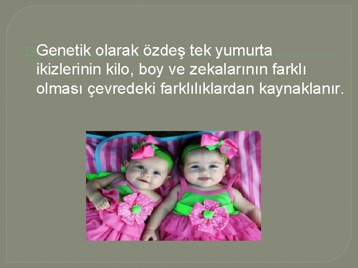 �Genetik olarak özdeş tek yumurta ikizlerinin kilo, boy ve zekalarının farklı olması çevredeki farklılıklardan �Genetik olarak özdeş tek yumurta ikizlerinin kilo, boy ve zekalarının farklı olması çevredeki farklılıklardan