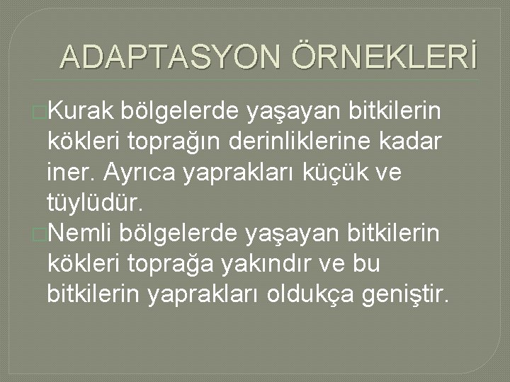 ADAPTASYON ÖRNEKLERİ �Kurak bölgelerde yaşayan bitkilerin kökleri toprağın derinliklerine kadar iner. Ayrıca yaprakları küçük ADAPTASYON ÖRNEKLERİ �Kurak bölgelerde yaşayan bitkilerin kökleri toprağın derinliklerine kadar iner. Ayrıca yaprakları küçük