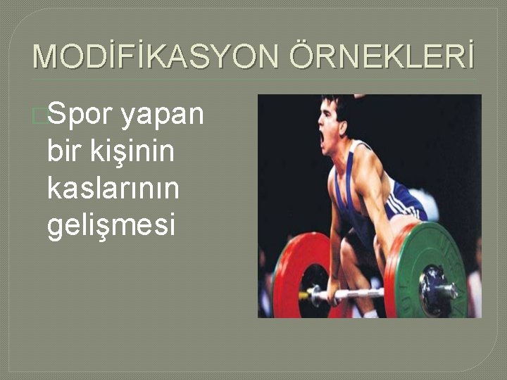 MODİFİKASYON ÖRNEKLERİ �Spor yapan bir kişinin kaslarının gelişmesi MODİFİKASYON ÖRNEKLERİ �Spor yapan bir kişinin kaslarının gelişmesi