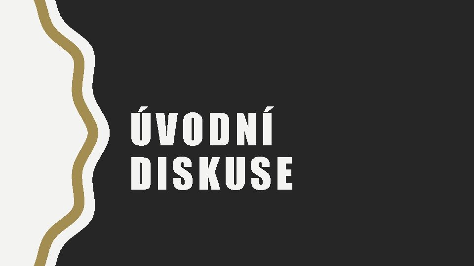 ÚVODNÍ DISKUSE 