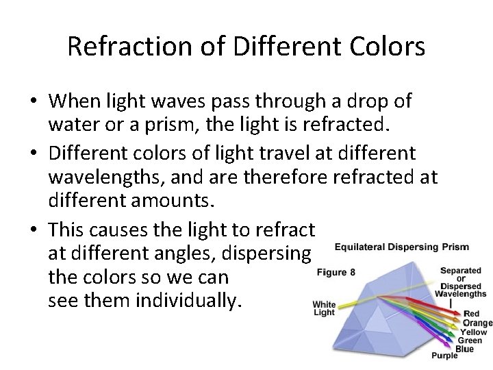 Refraction of Different Colors • When light waves pass through a drop of water