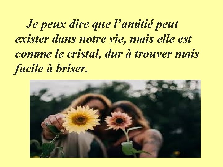 Je peux dire que l’amitié peut exister dans notre vie, mais elle est comme Je peux dire que l’amitié peut exister dans notre vie, mais elle est comme