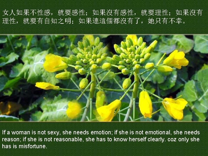 女人如果不性感，就要感性；如果沒有感性，就要理性；如果沒有 理性，就要有自知之明；如果連這個都沒有了，她只有不幸。 If a woman is not sexy, she needs emotion; if she is