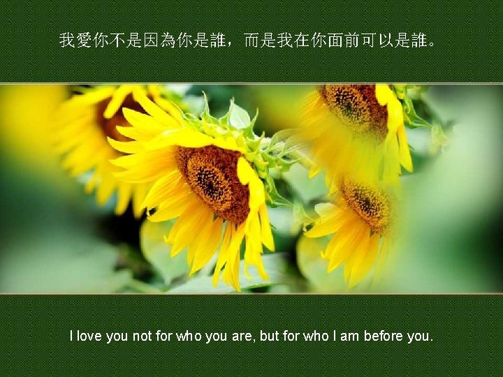 我愛你不是因為你是誰，而是我在你面前可以是誰。 I love you not for who you are, but for who I am