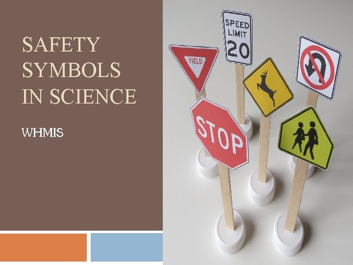 SAFETY SYMBOLS IN SCIENCE WHMIS 
