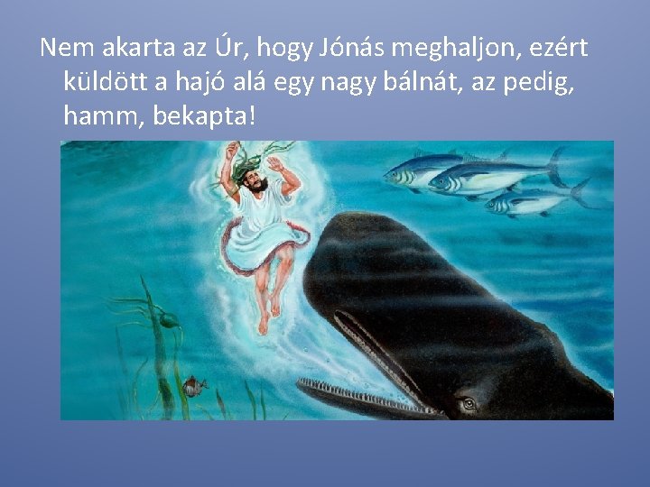 Nem akarta az Úr, hogy Jónás meghaljon, ezért küldött a hajó alá egy nagy Nem akarta az Úr, hogy Jónás meghaljon, ezért küldött a hajó alá egy nagy