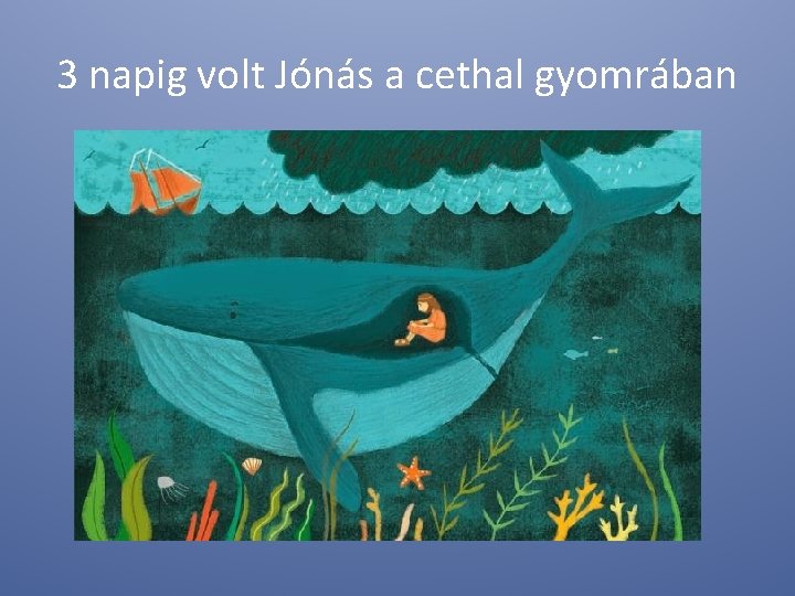 3 napig volt Jónás a cethal gyomrában 