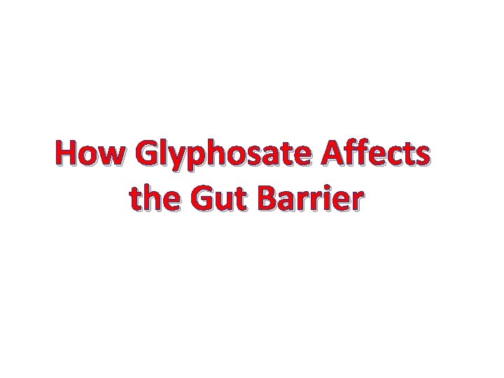 How Glyphosate Affects the Gut Barrier 