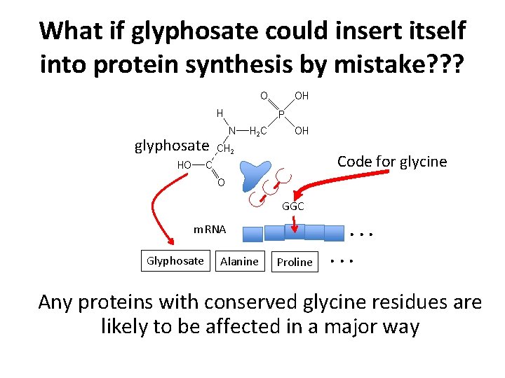 What if glyphosate could insert itself into protein synthesis by mistake? ? ? glyphosate