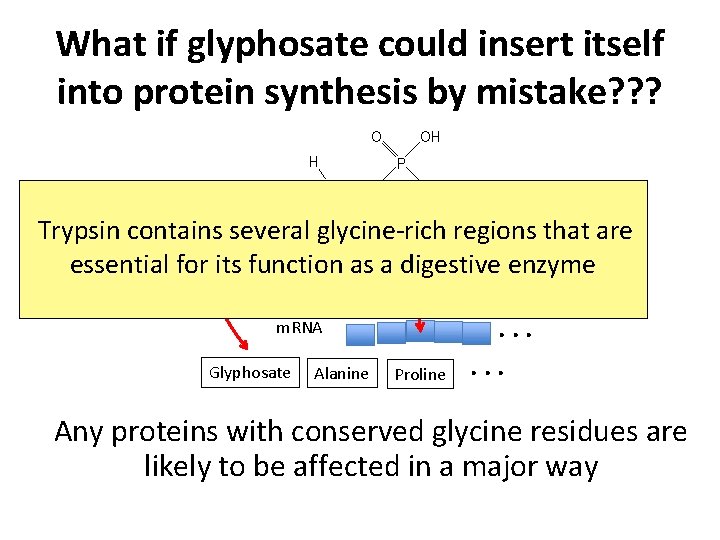 What if glyphosate could insert itself into protein synthesis by mistake? ? ? glyphosate