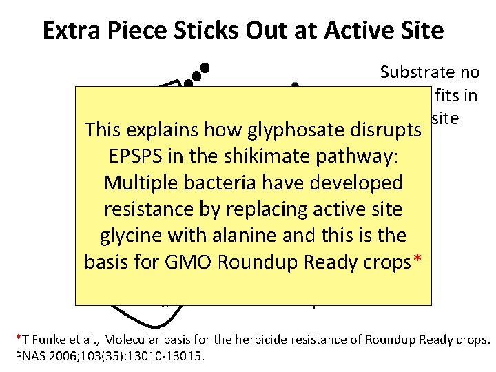 Extra Piece Sticks Out at Active Site Substrate no longer fits in active site