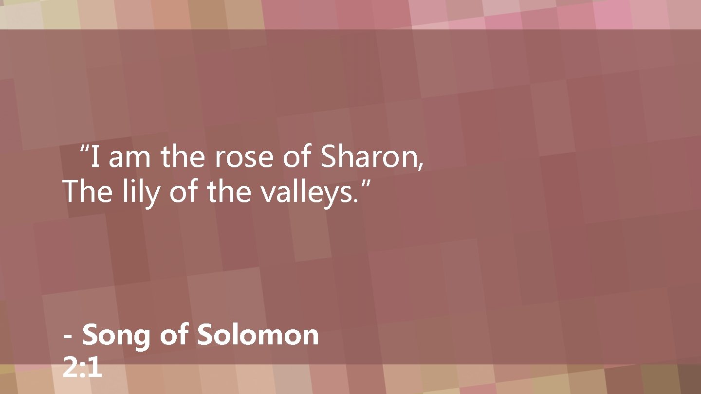 “I am the rose of Sharon, The lily of the valleys. ” - Song