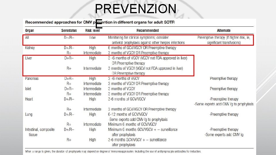 PREVENZION E 