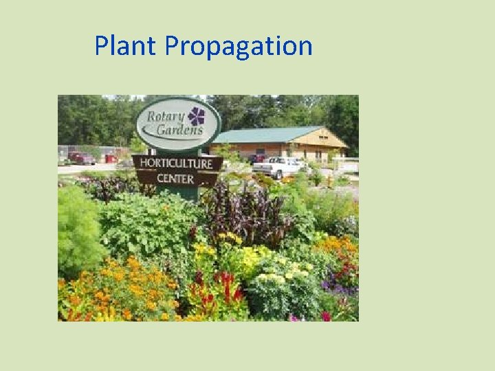 Plant Propagation 