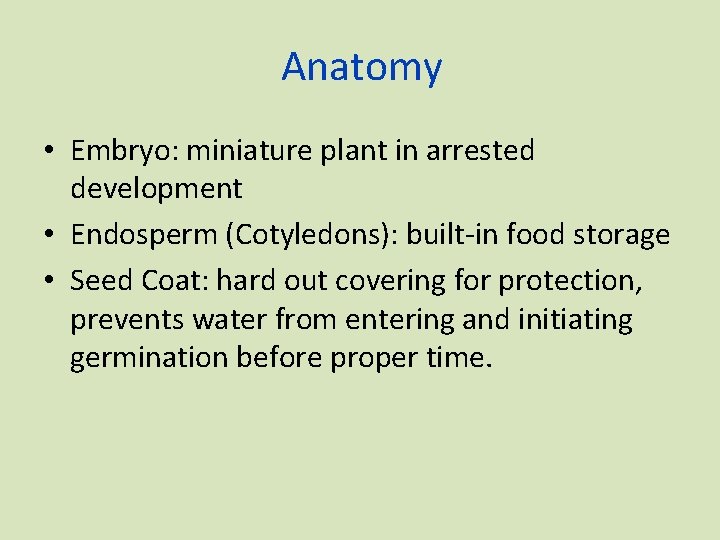 Anatomy • Embryo: miniature plant in arrested development • Endosperm (Cotyledons): built-in food storage