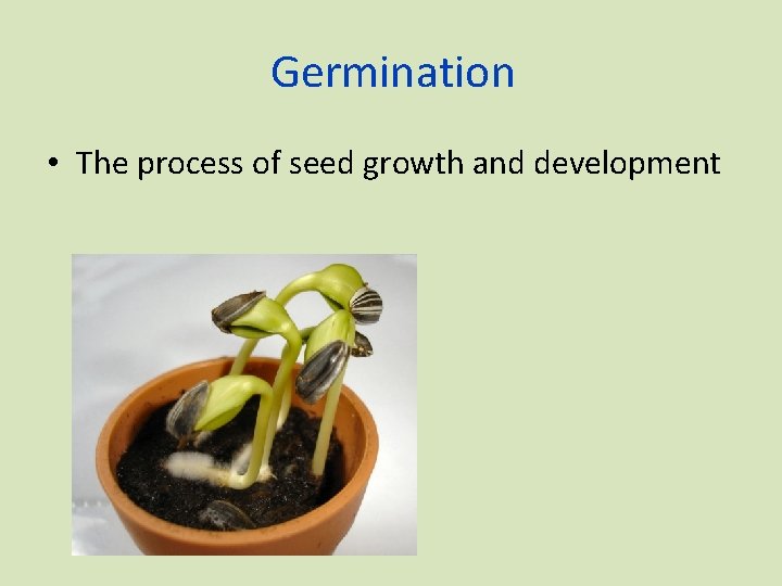 Germination • The process of seed growth and development 