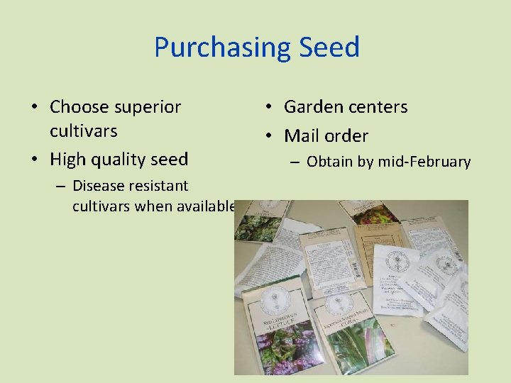 Purchasing Seed • Choose superior cultivars • High quality seed – Disease resistant cultivars