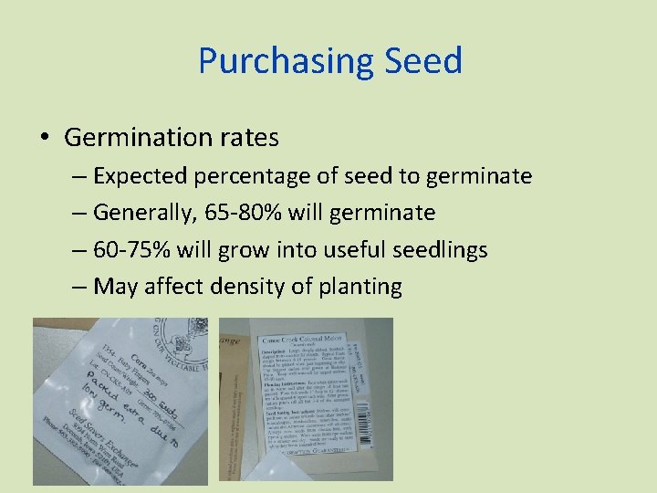 Purchasing Seed • Germination rates – Expected percentage of seed to germinate – Generally,