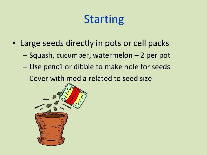 Starting • Large seeds directly in pots or cell packs – Squash, cucumber, watermelon