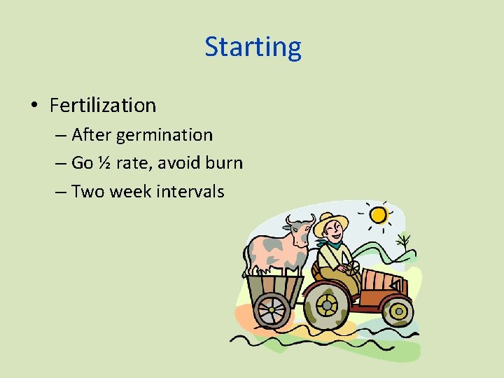 Starting • Fertilization – After germination – Go ½ rate, avoid burn – Two
