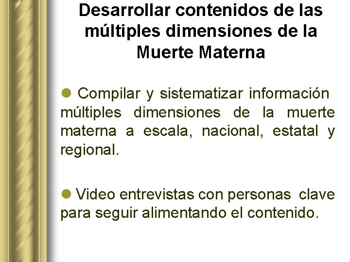 Desarrollar contenidos de las múltiples dimensiones de la Muerte Materna l Compilar y sistematizar