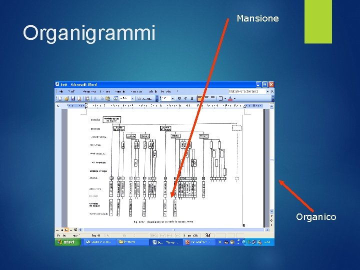 Organigrammi Mansione Organico 