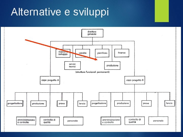 Alternative e sviluppi funzionale 