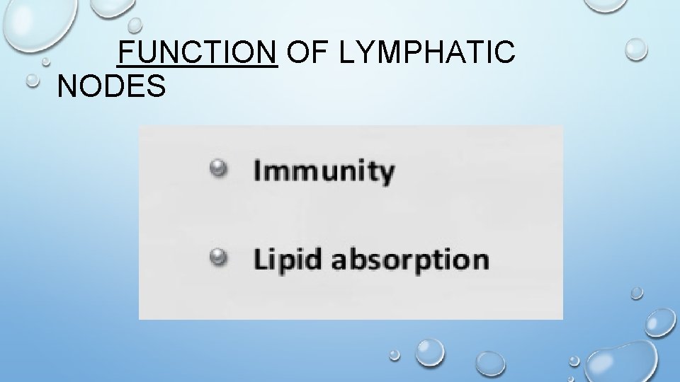  FUNCTION OF LYMPHATIC NODES 