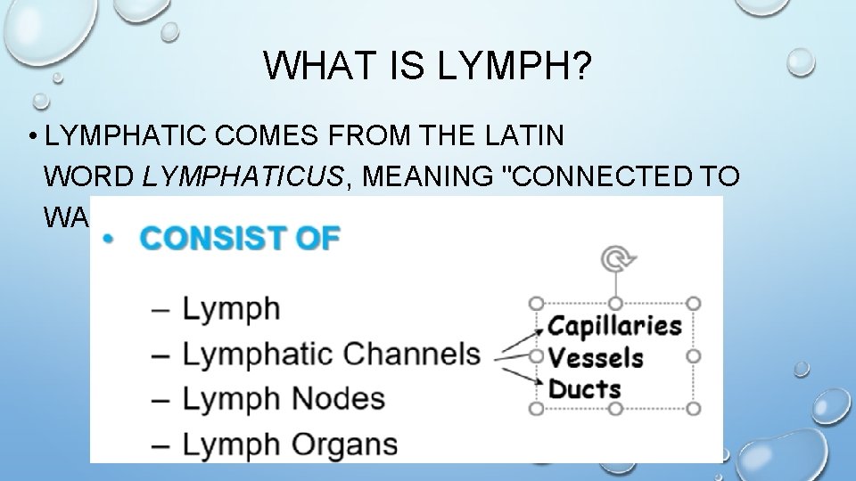 WHAT IS LYMPH? • LYMPHATIC COMES FROM THE LATIN WORD LYMPHATICUS, MEANING "CONNECTED TO