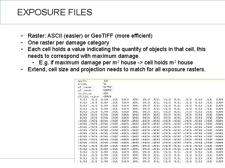 EXPOSURE FILES • Raster: ASCII (easier) or Geo. TIFF (more efficient) • One raster